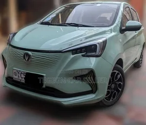 Changan BenBen E-Star 2023 Gray