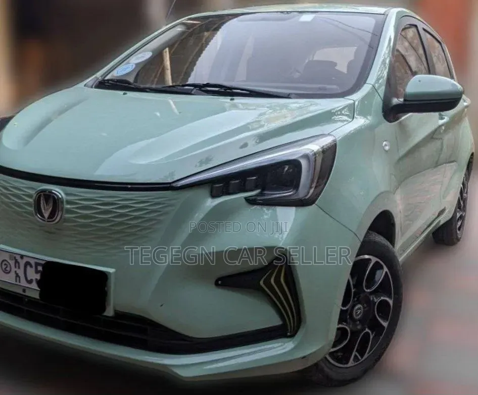 Changan BenBen E-Star 2023 Gray