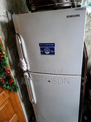 Samsung 220 v Frost Free Refrigerator