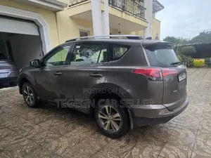 Toyota RAV4 2017 Gray