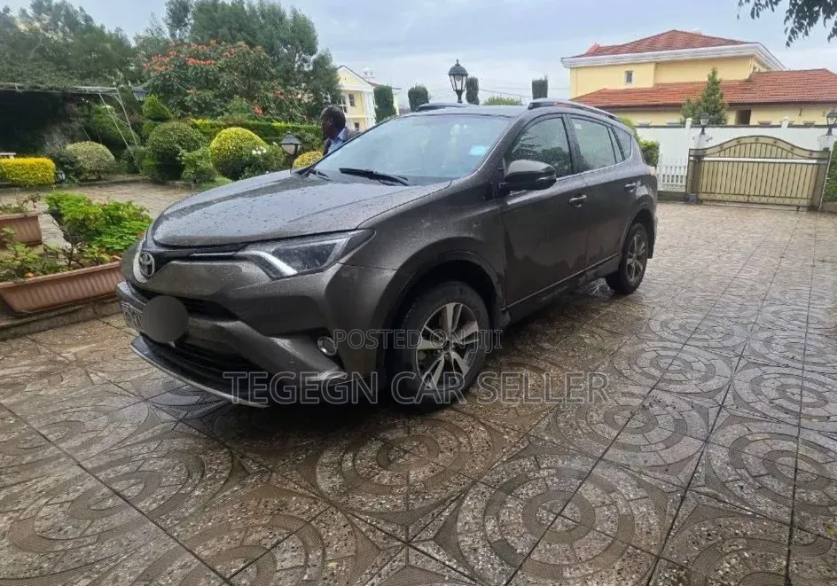 Toyota RAV4 2017 Gray