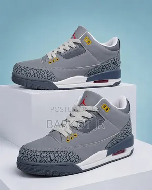 Nike Air Jordan 3 Retro "Cool Grey"