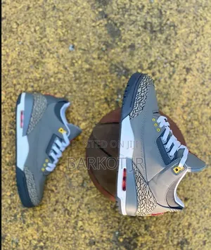 Nike Air Jordan 3 Retro "Cool Grey"