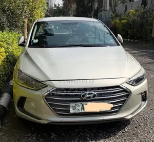Hyundai Elantra 2017 Silver