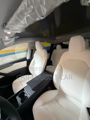 New Tesla Model Y Long Range RWD 2024 Gray
