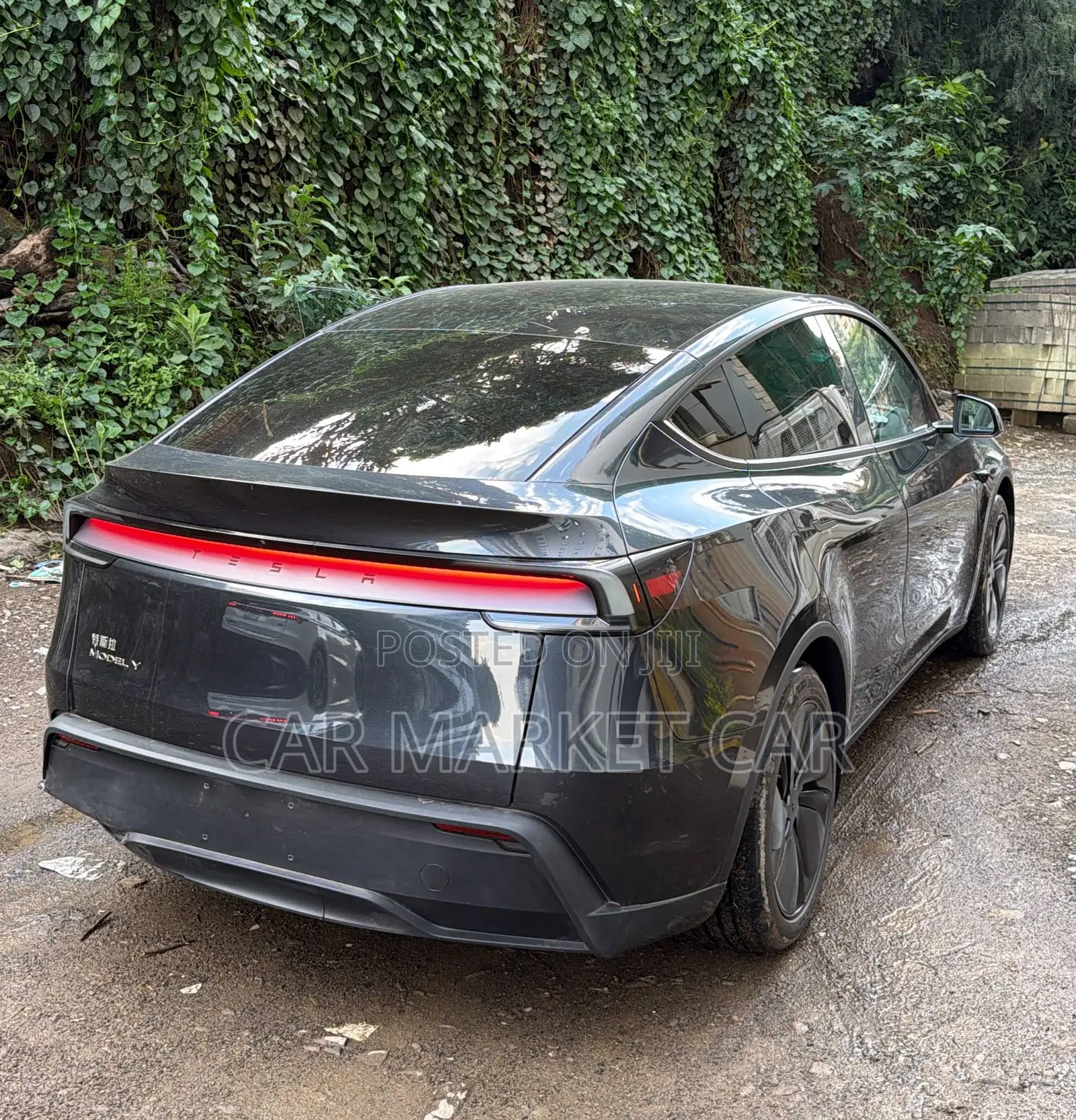 New Tesla Model Y Long Range RWD 2024 Gray