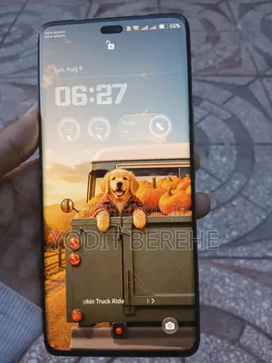 Honor X9c 256 GB Orange