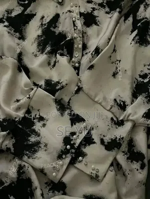 Elrgant Dress