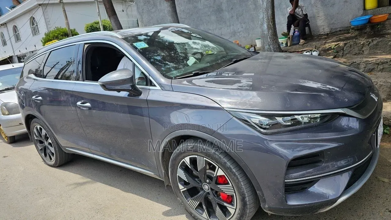 New BYD Tang EV 2024 Gray
