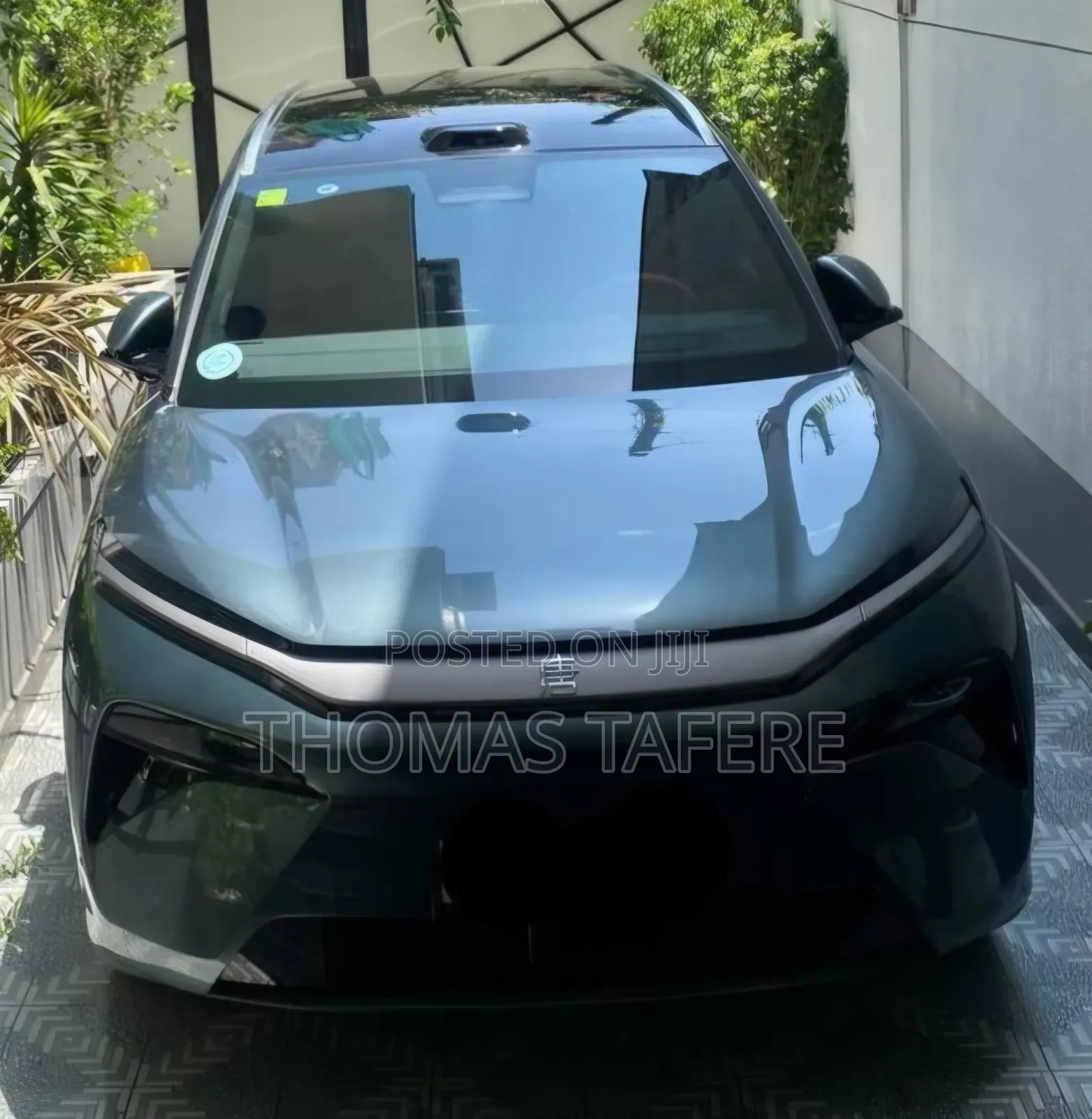 BYD Tang EV 2025 Green