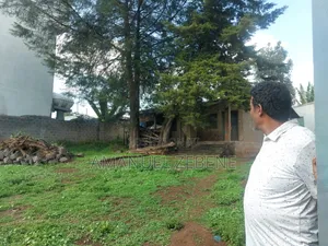 Land Property