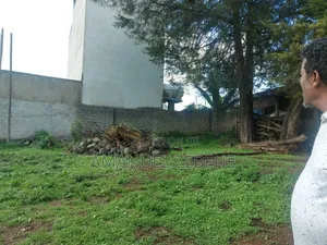 Land Property