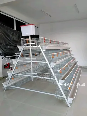 Original Imported Chicken Layer Battery Cage / የዶሮ ኬጅ