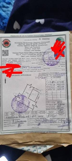 Bishoftu DEBIREZEYET Dukem