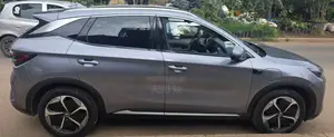 BYD Yuan Plus 2025 Gray