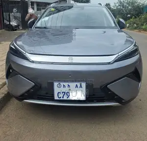 BYD Yuan Plus 2025 Gray