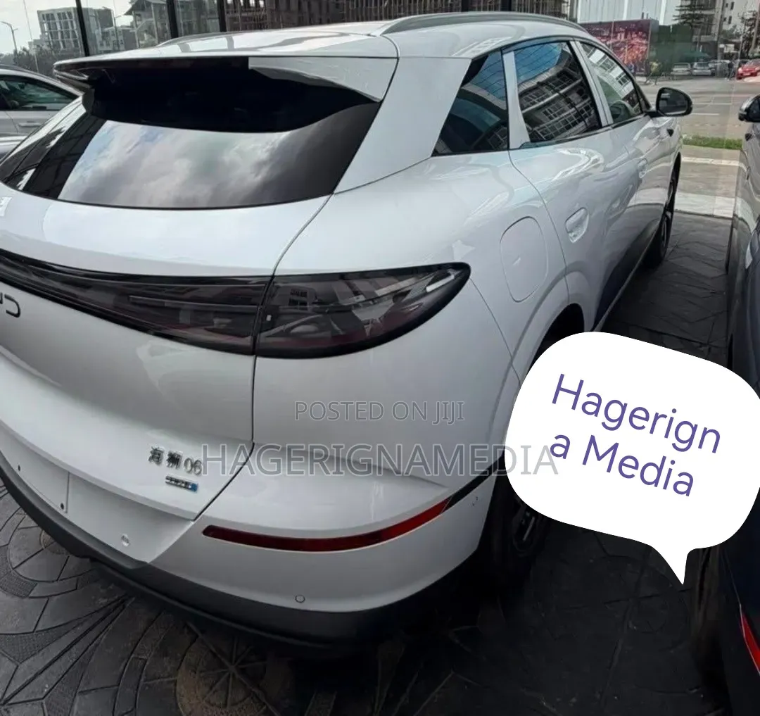 New BYD Sealion 06 EV 2025 Gray