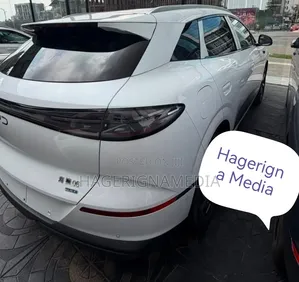 New BYD Sealion 06 EV 2025 Gray