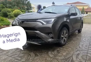 Toyota RAV4 2017 Gray