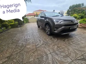 Toyota RAV4 2017 Gray