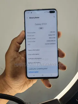 Samsung Galaxy S10 128 GB Blue