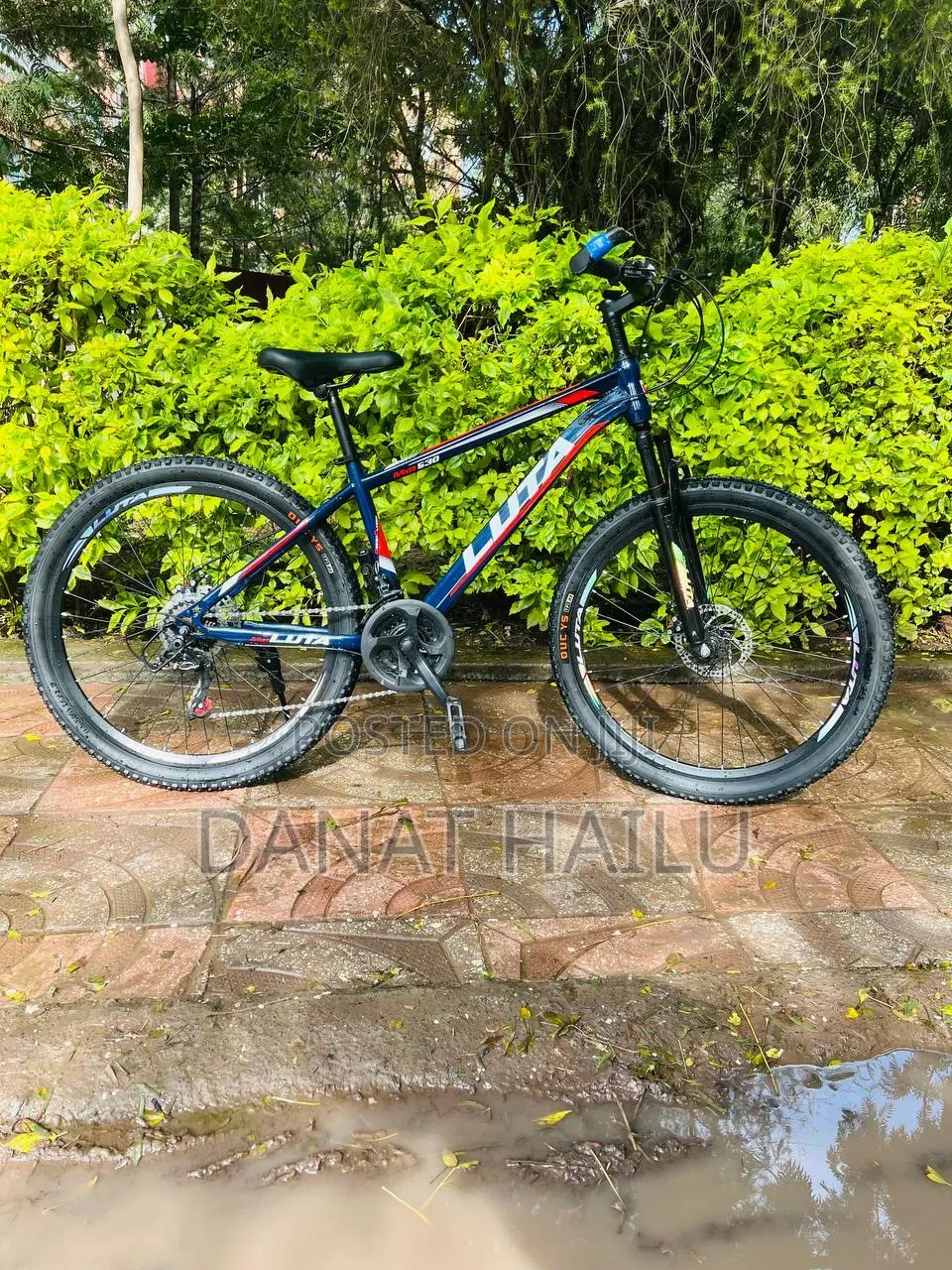 Luta Bike New