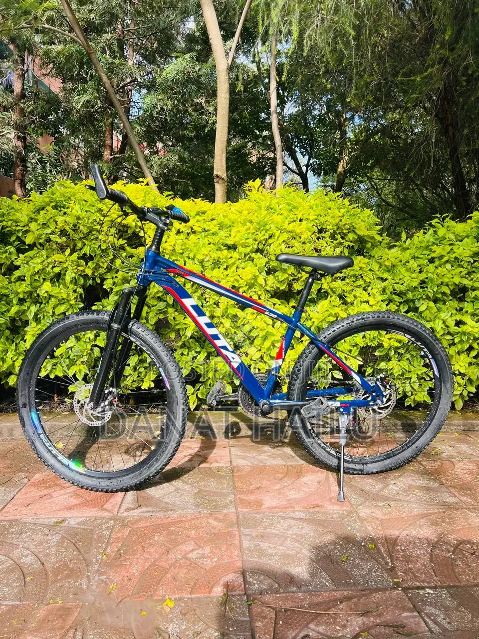 Luta Bike New