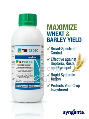 Tilt 250 EC Fungicide (ፈንገስ ማጥፊያ)