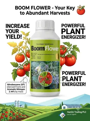 Boom Flower