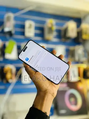 Apple iPhone 15 Pro Max 256 GB Silver