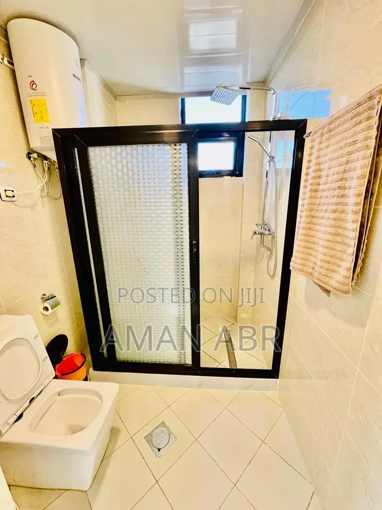 Furnished 3bdrm Apartment in Bole for rent