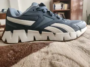 Reebok Zig Dynamica Trainer