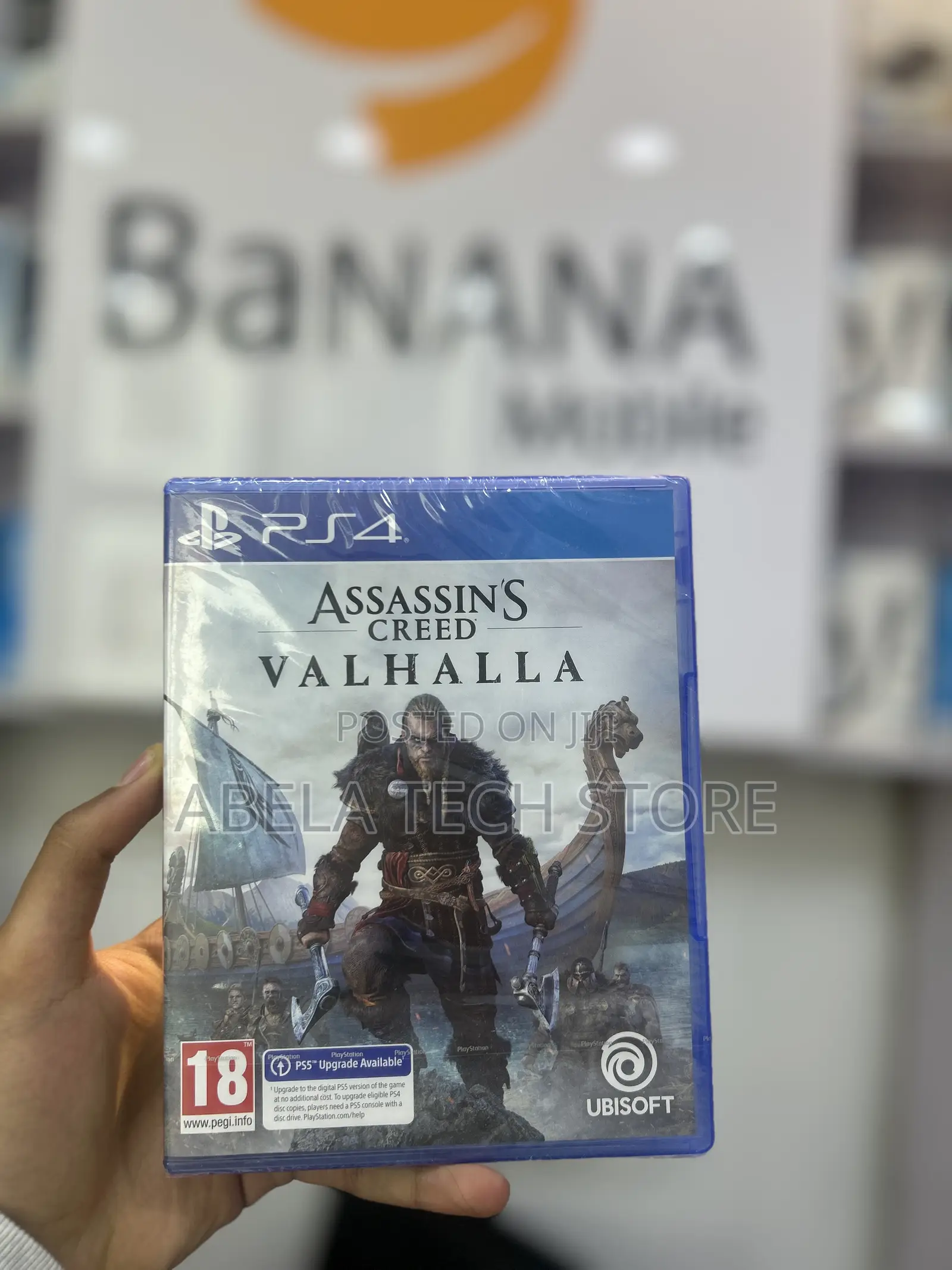 Assassins Creed Video Game