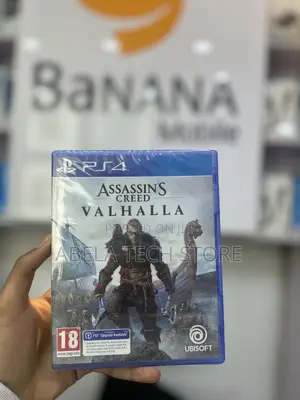 Assassins Creed Video Game