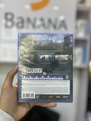 Assassins Creed Video Game