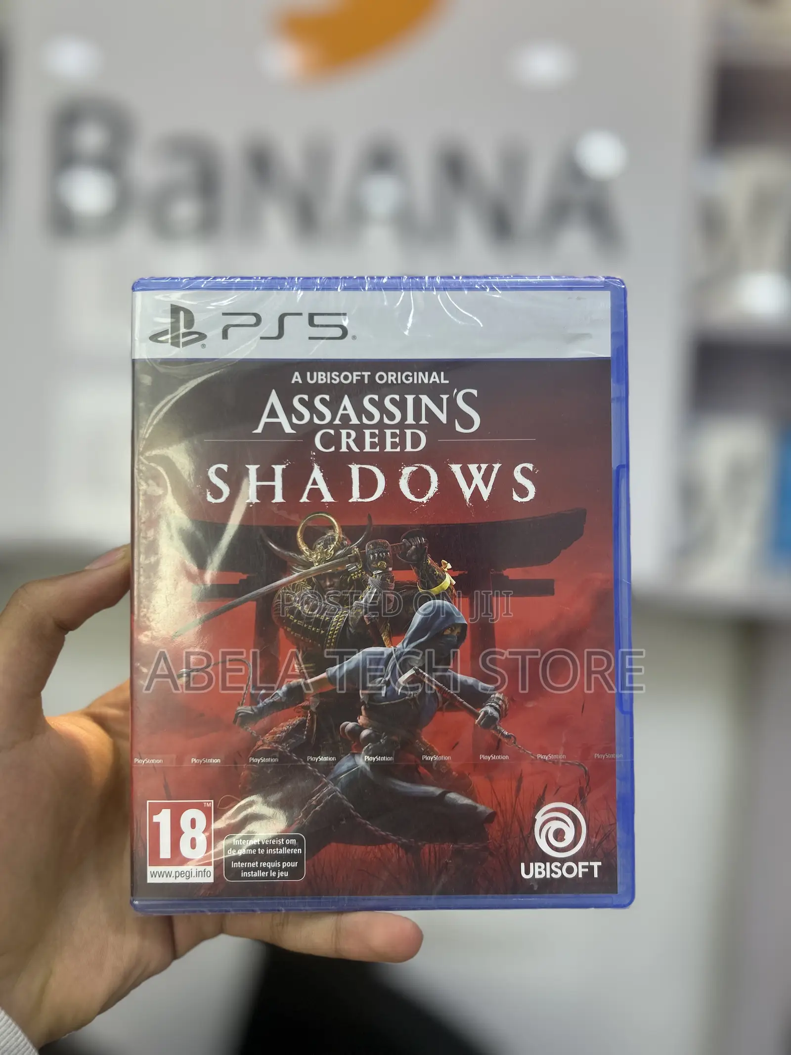 Assassins Creed Shadow Game
