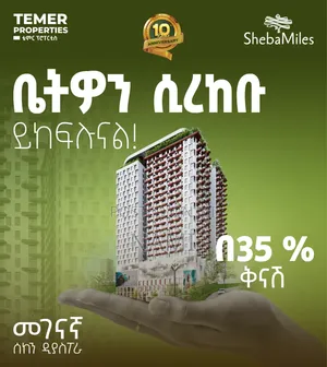 1bdrm Apartment in Temer Properties, Yeka for sale