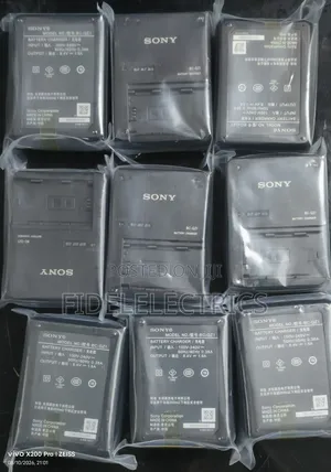 Sony BC-QZ1