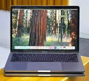 New Laptop Apple MacBook Pro 2019 16GB Intel Core i5 SSD 512GB