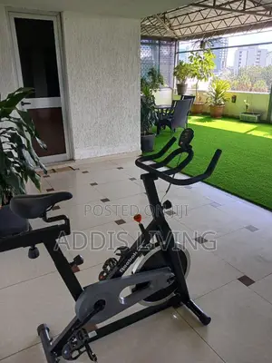 Furnished 2bdrm Apartment in Bole for rent