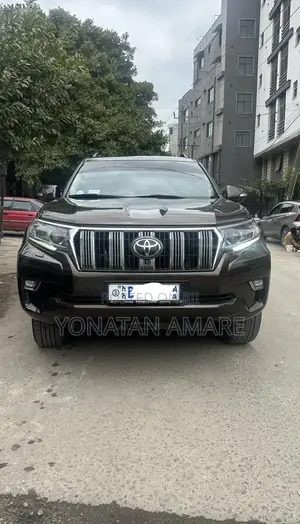 Toyota Land Cruiser Prado 2019 Brown