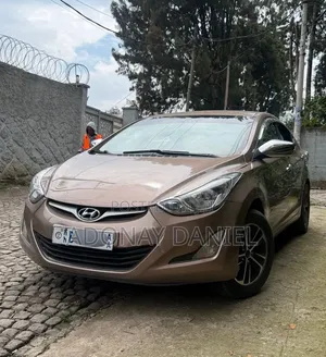 Hyundai Elantra 2015 Brown