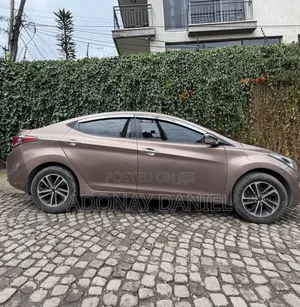 Hyundai Elantra 2015 Brown