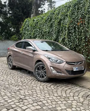 Hyundai Elantra 2015 Brown