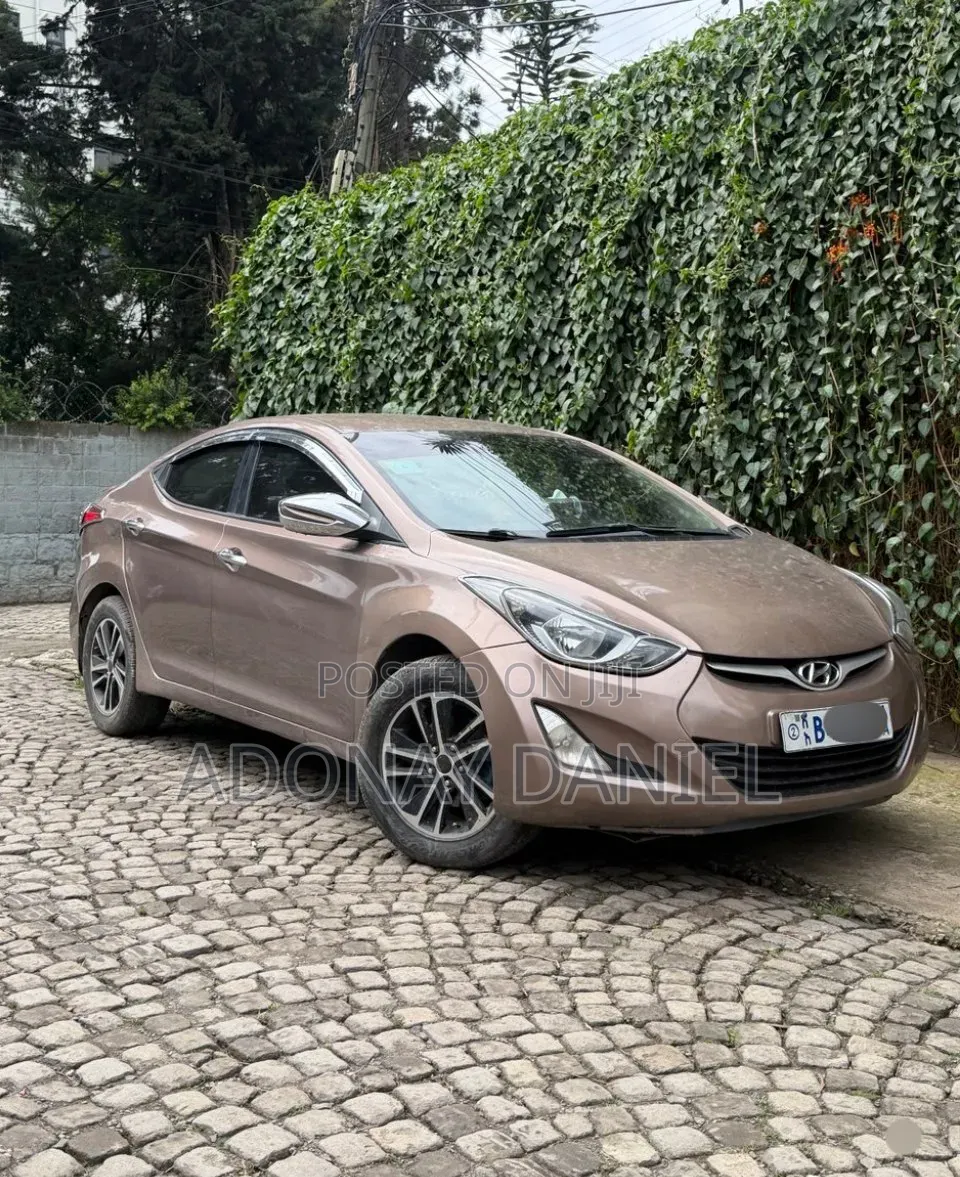 Hyundai Elantra 2015 Brown