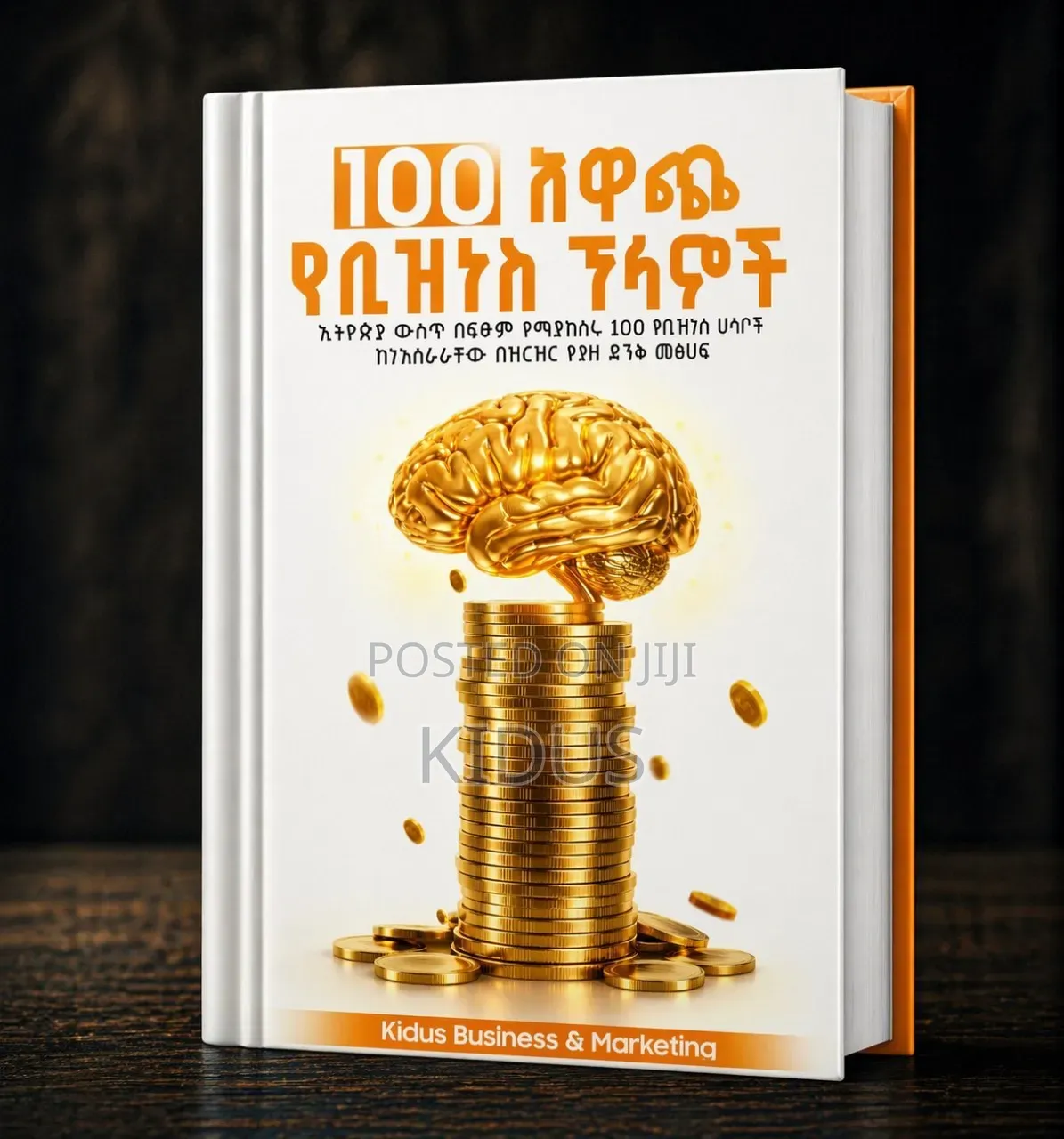 100 አዋጭ የቢዝነስ ፕላኖች | PDF