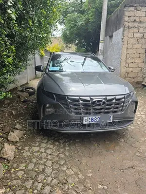 Hyundai Tucson 2021 Gray