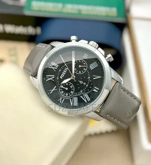 Silver Fossil Men Watch