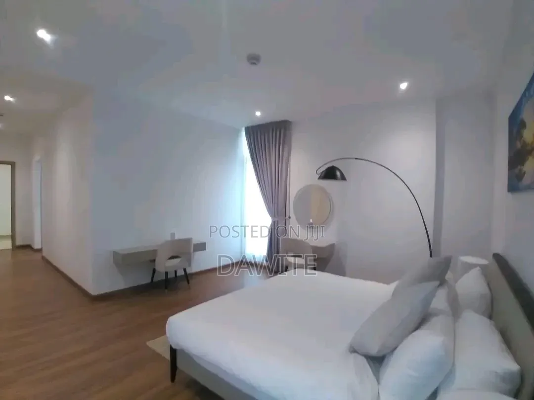 Furnished 3bdrm Apartment in Nohe, Bole for sale