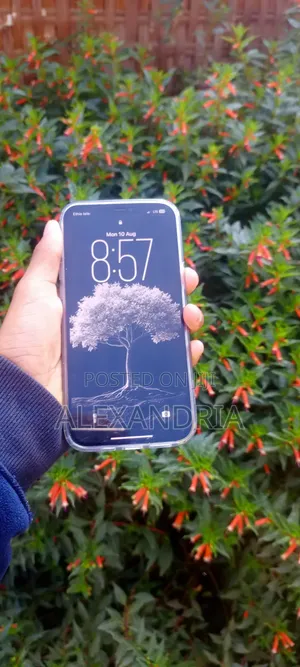 Apple iPhone 12 Pro Max 256 GB Bronze